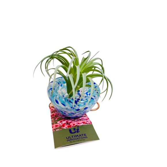 The Ultimate Innovations Jellyfish Colored Glass Air Plant Hanging Globe 2 - Picture 4 of 8
